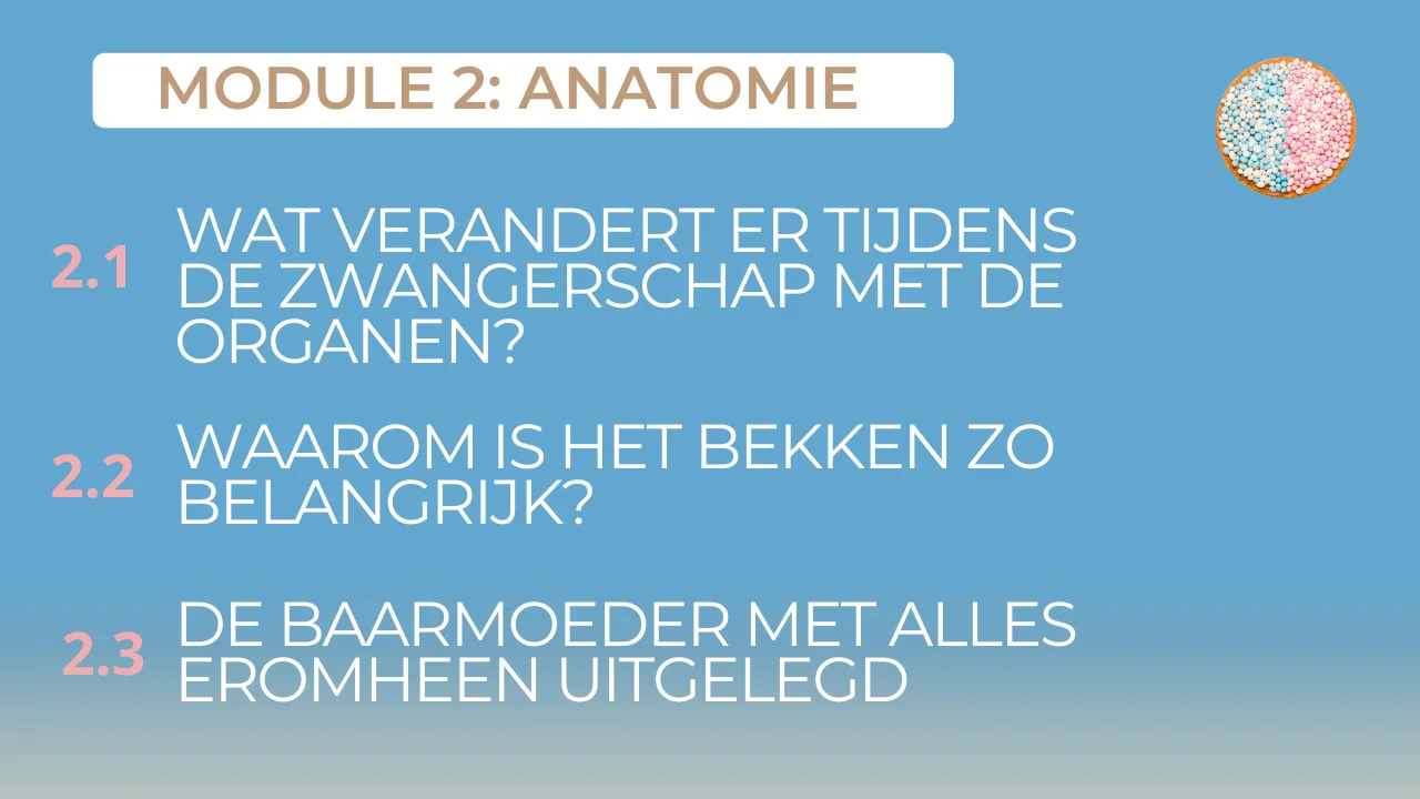 zwangerschapscursus-online-Joyce Remmerswaal
