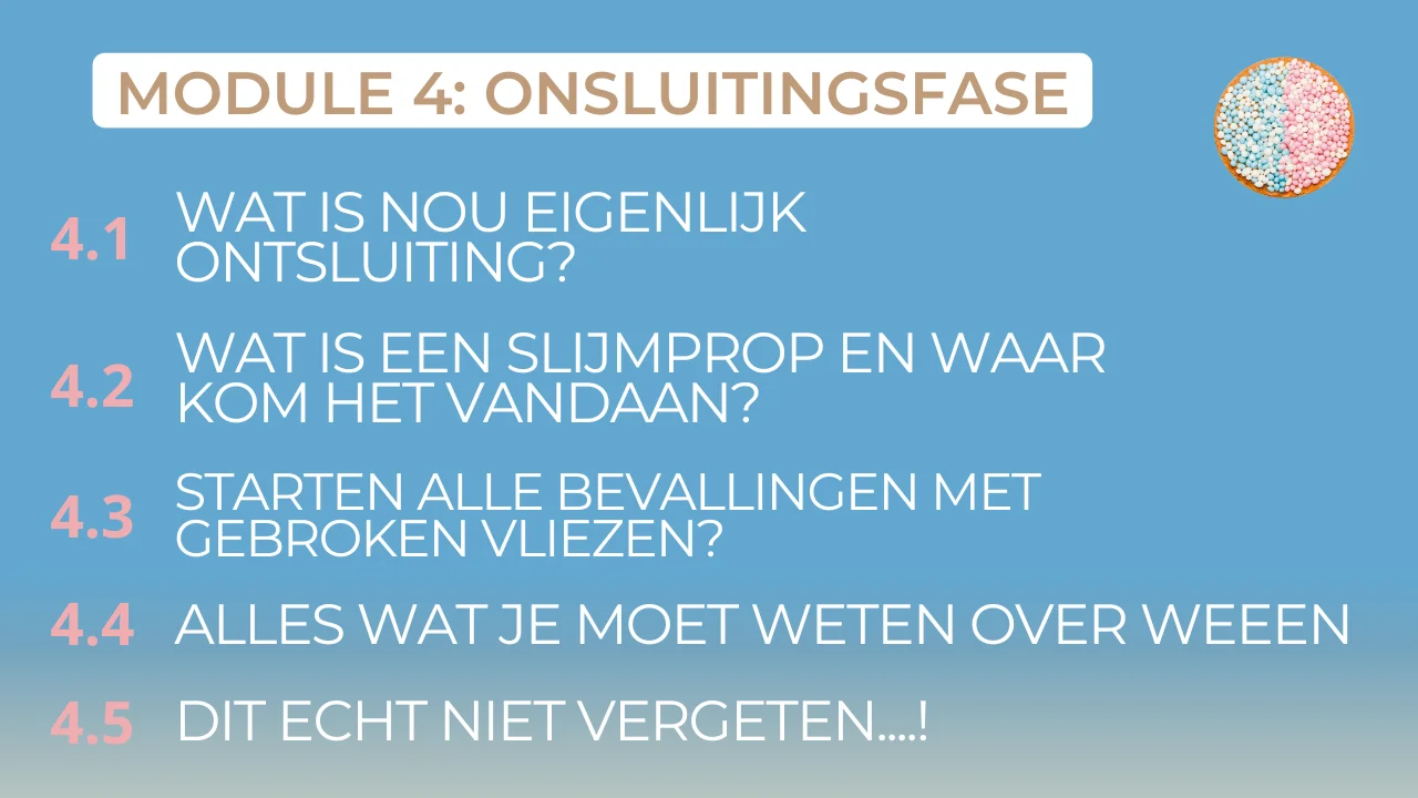 zwangerschapscursus-online-Joyce Remmerswaal