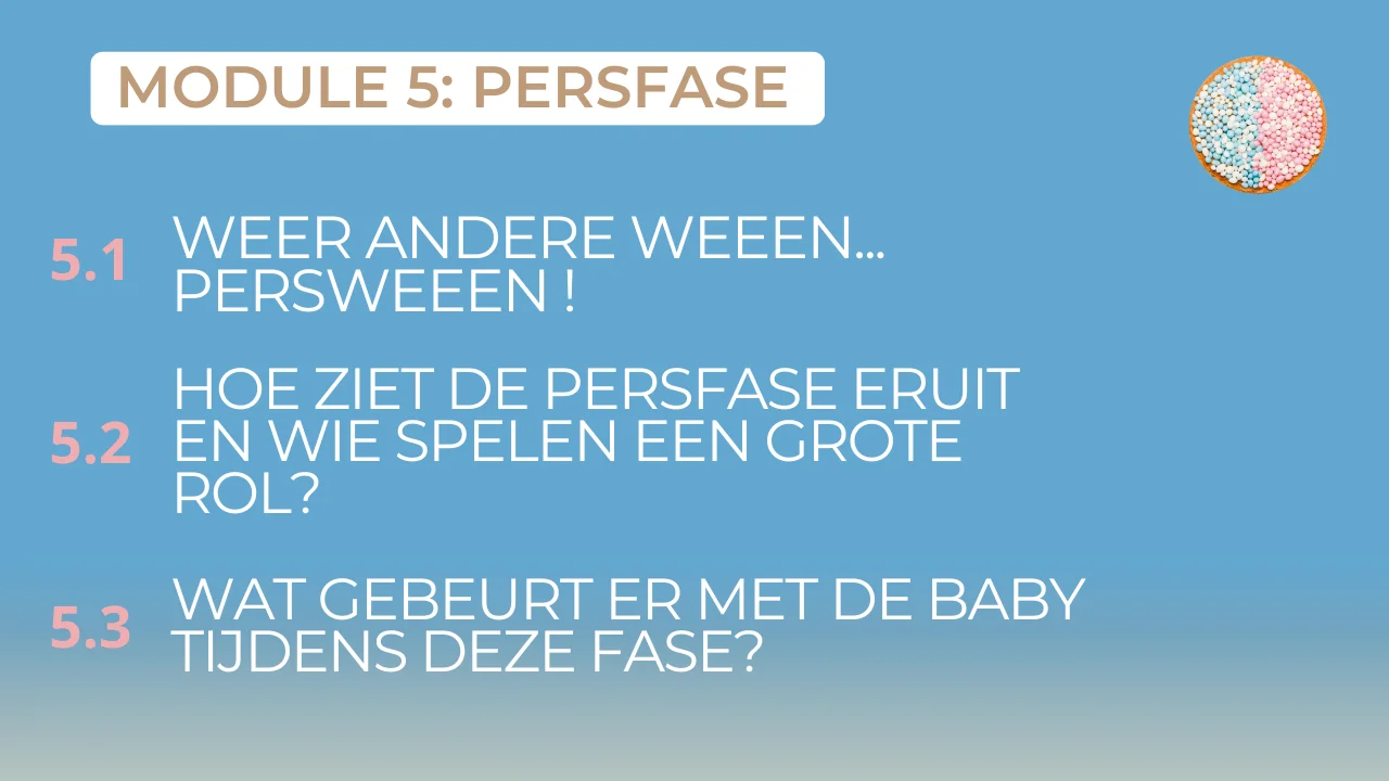 zwangerschapscursus-online-Joyce Remmerswaal