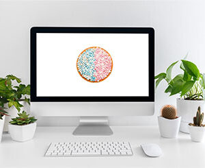 Cursus Bevallen Online
