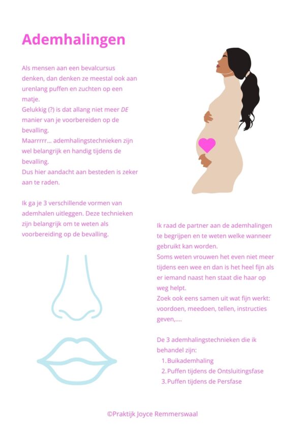 Werkboek Bevallen