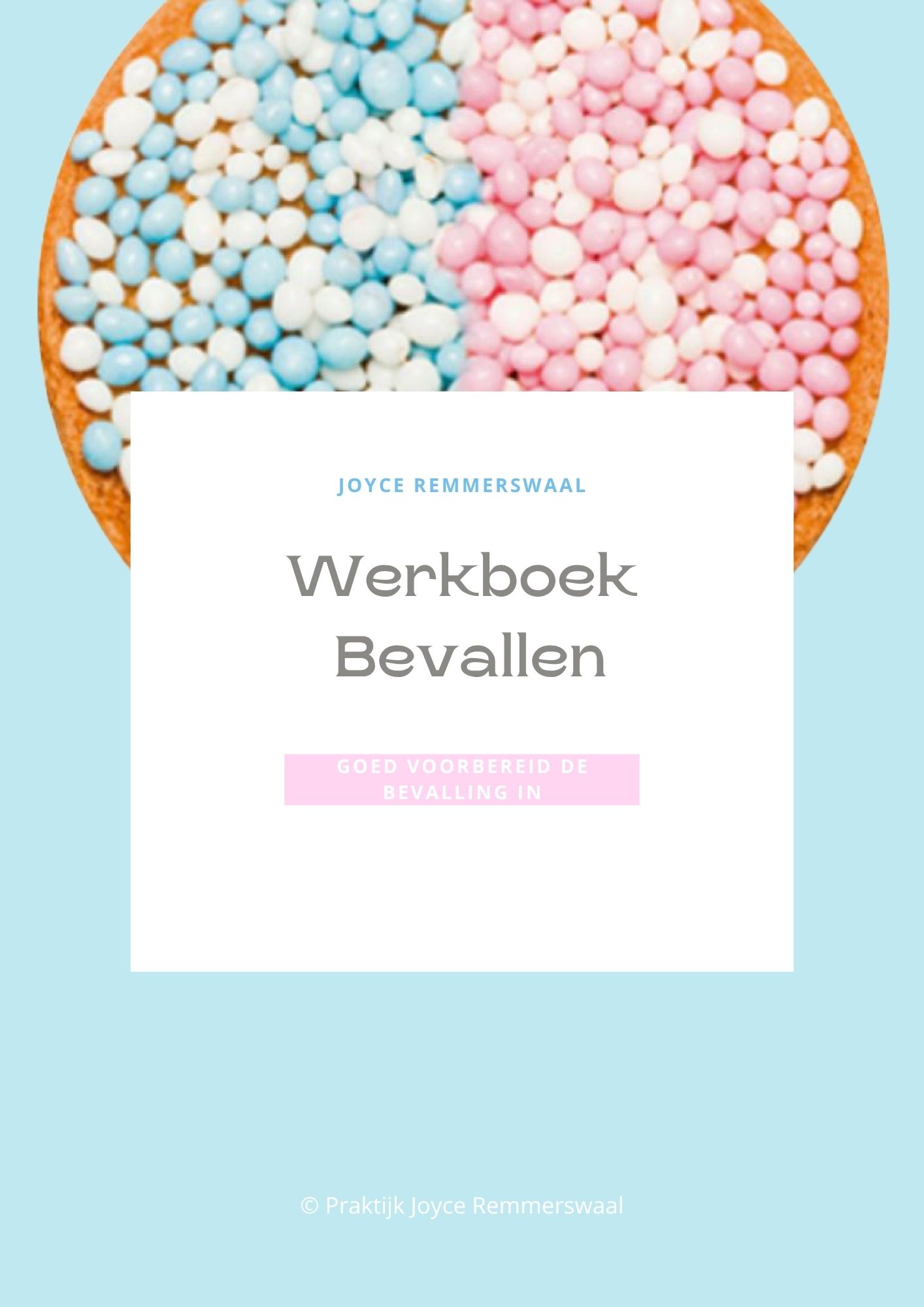 Werkboek voorpagina Werkboek Bevallen