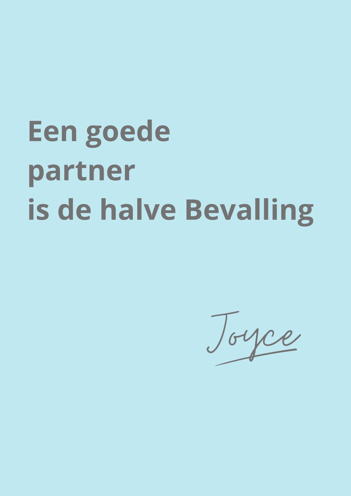 Werkboek Bevallen