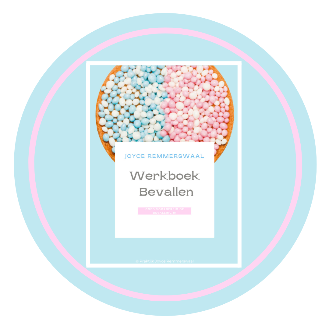 Werkboek Bevallen