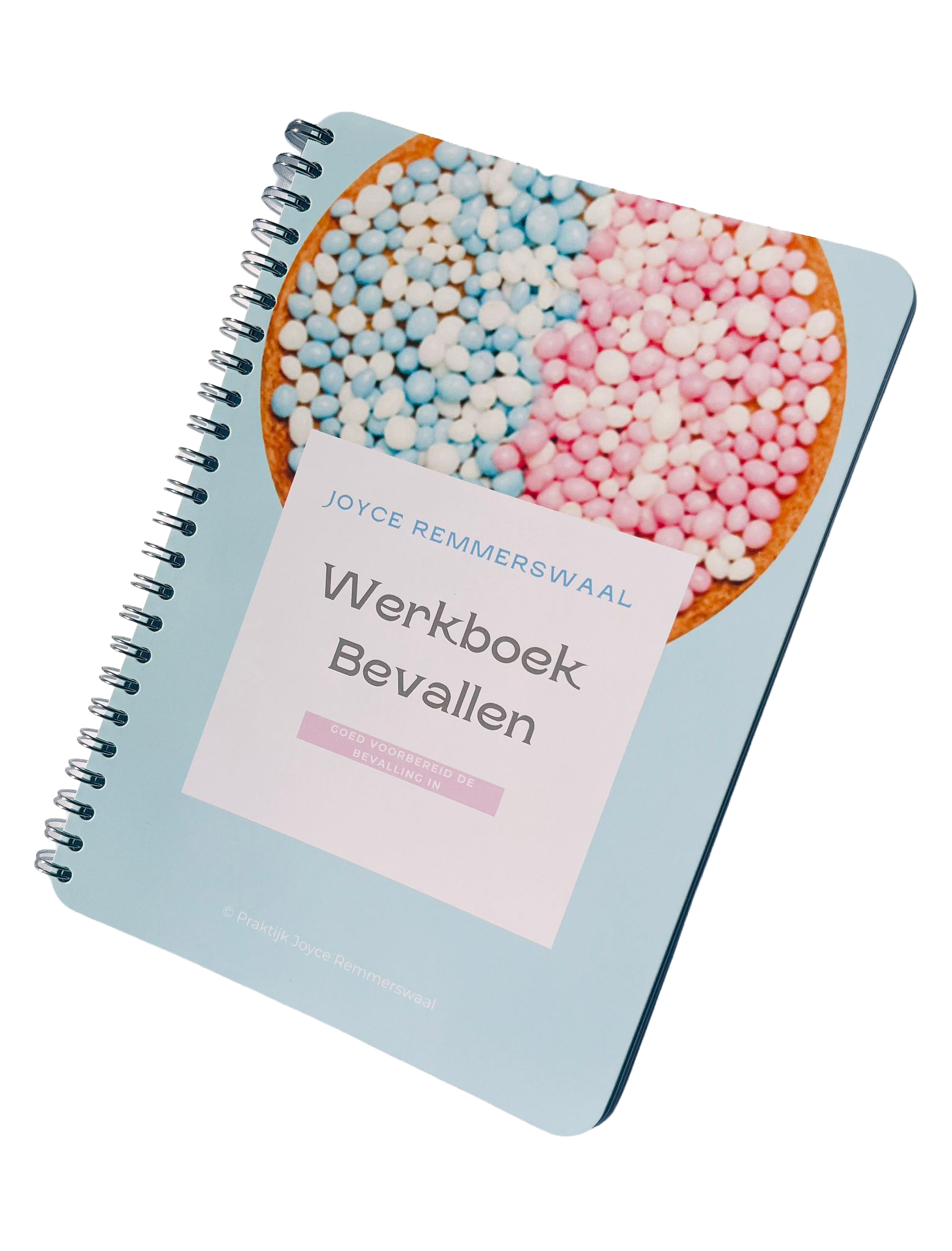werkboek bevallen joyce remmerswaal